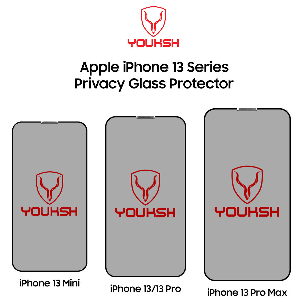 Apple iPhone 13 Pro Max (Privacy Glass Protector)