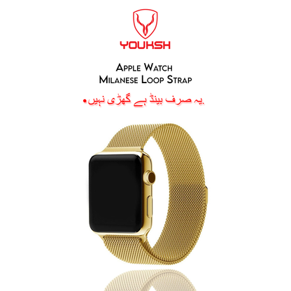 Apple iWatch - Milanese Stainless Steel Strap - 42mm/44mm (Series 1/2/3/4/5/6)