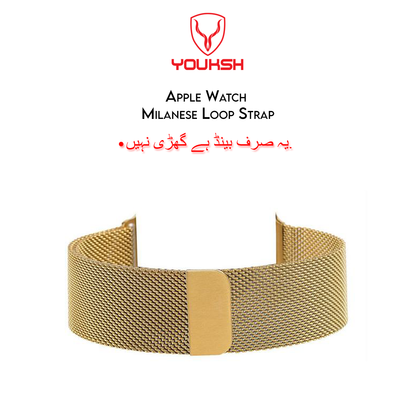 Apple iWatch - Milanese Stainless Steel Strap - 42mm/44mm (Series 1/2/3/4/5/6)